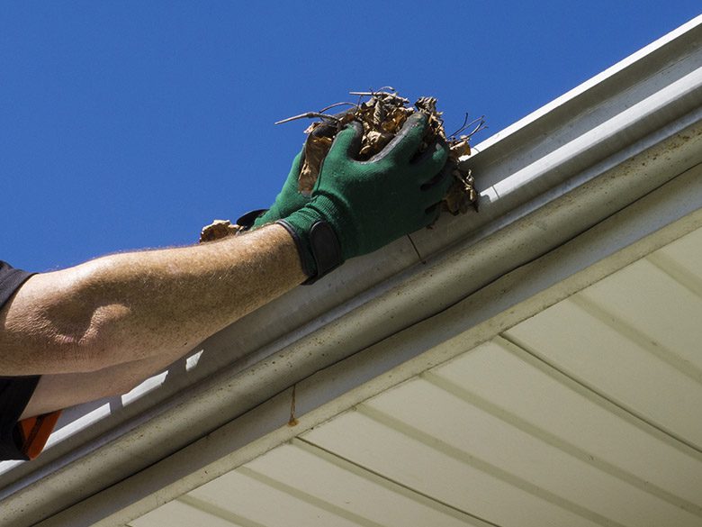 Professional gutter cleaning service removing debris in Douglas County Oregon